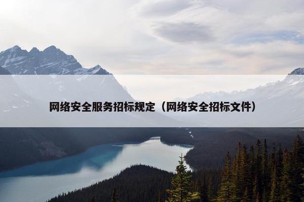 网络安全服务招标规定（网络安全招标文件）