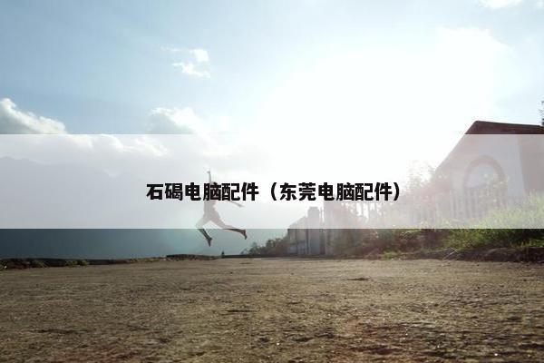 石碣电脑配件（东莞电脑配件）