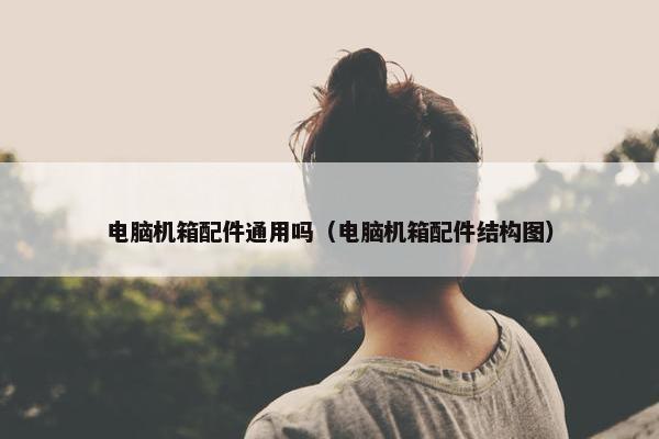 电脑机箱配件通用吗（电脑机箱配件结构图）