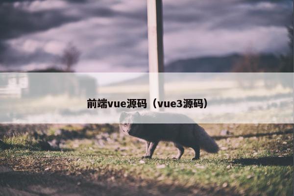 前端vue源码（vue3源码）