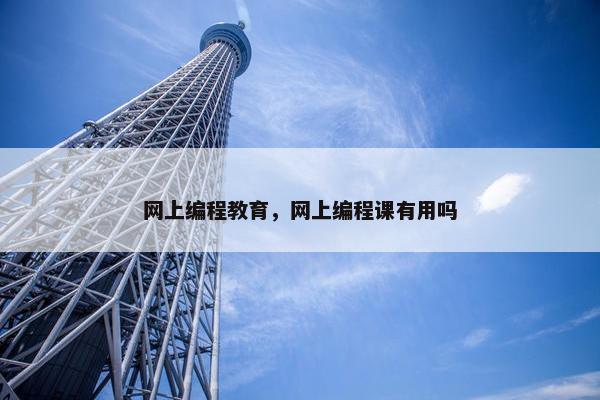 网上编程教育，网上编程课有用吗