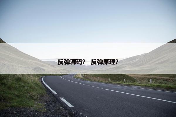 反弹源码？ 反弹原理？