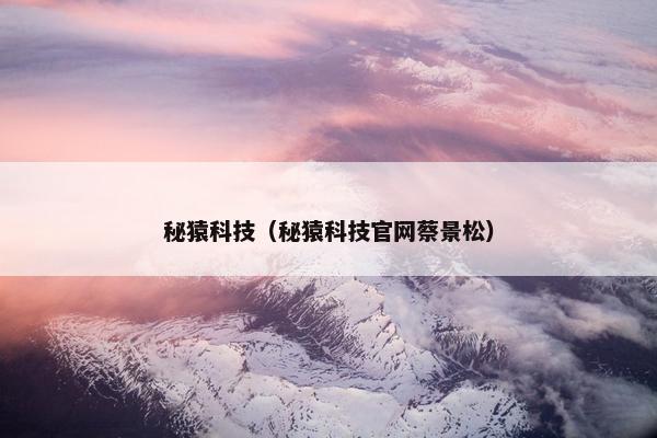 秘猿科技（秘猿科技官网蔡景松）