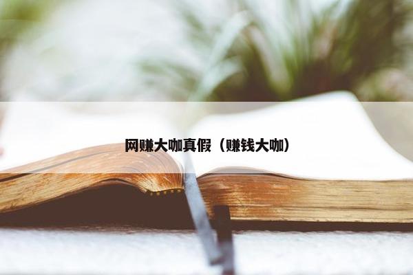 网赚大咖真假（赚钱大咖）