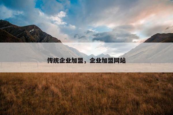 传统企业加盟，企业加盟网站