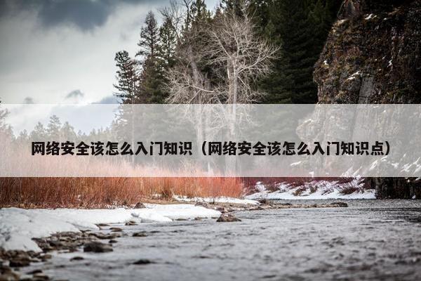 网络安全该怎么入门知识（网络安全该怎么入门知识点）