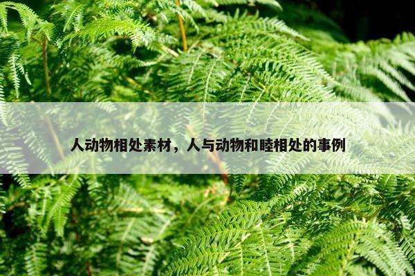 人动物相处素材，人与动物和睦相处的事例