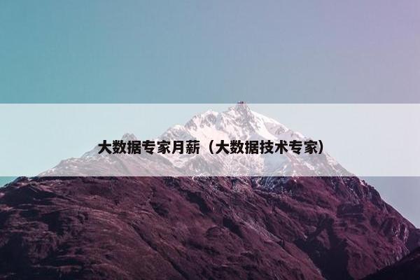 大数据专家月薪（大数据技术专家）