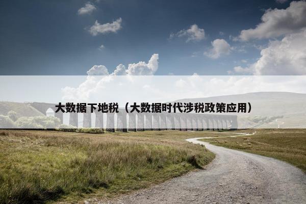 大数据下地税（大数据时代涉税政策应用）
