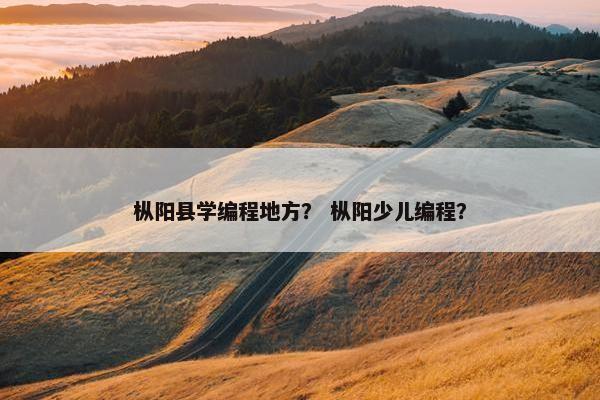 枞阳县学编程地方？ 枞阳少儿编程？