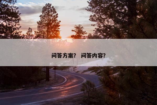 问答方案？ 问答内容？