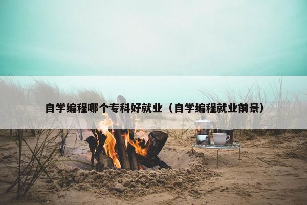 自学编程哪个专科好就业（自学编程就业前景）