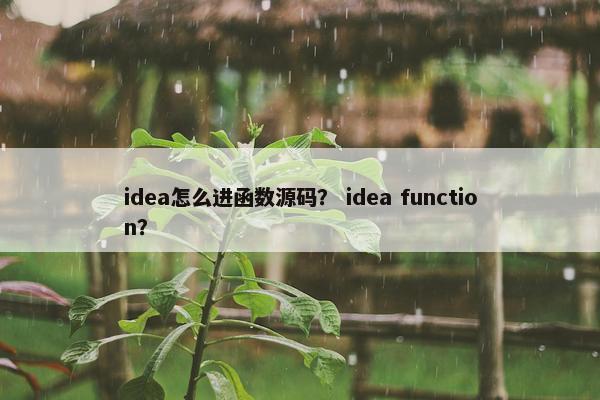 idea怎么进函数源码？ idea function？