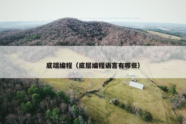 底端编程（底层编程语言有哪些）