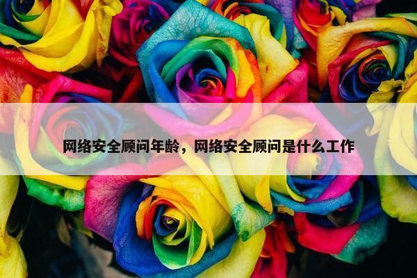 网络安全顾问年龄，网络安全顾问是什么工作
