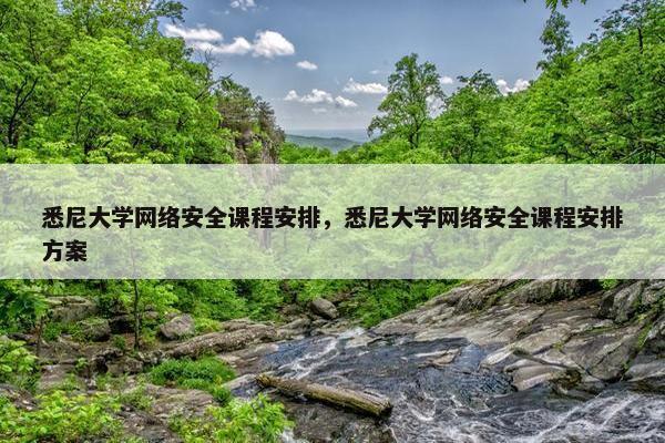悉尼大学网络安全课程安排，悉尼大学网络安全课程安排方案