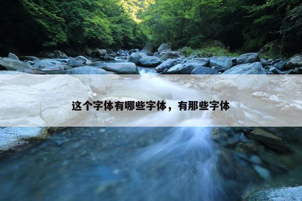 这个字体有哪些字体，有那些字体