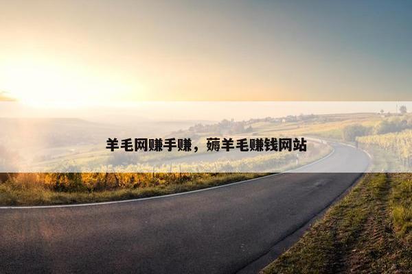 羊毛网赚手赚，薅羊毛赚钱网站
