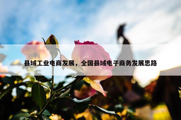 县域工业电商发展，全国县域电子商务发展思路