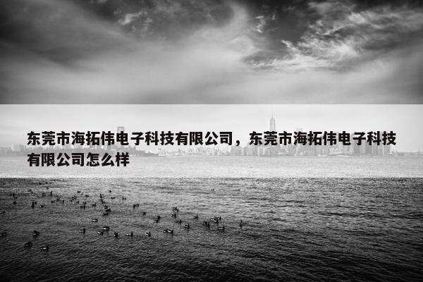 东莞市海拓伟电子科技有限公司，东莞市海拓伟电子科技有限公司怎么样