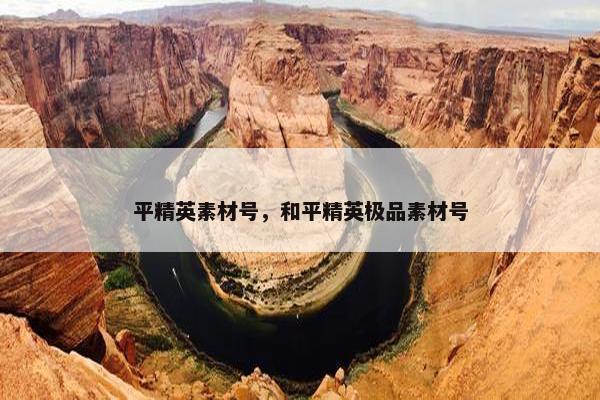 平精英素材号，和平精英极品素材号