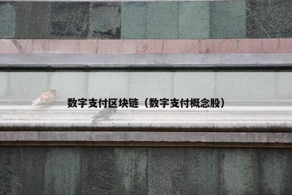 数字支付区块链（数字支付概念股）