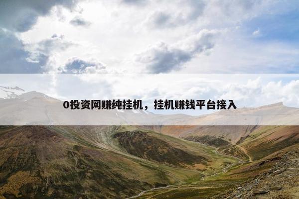 0投资网赚纯挂机，挂机赚钱平台接入