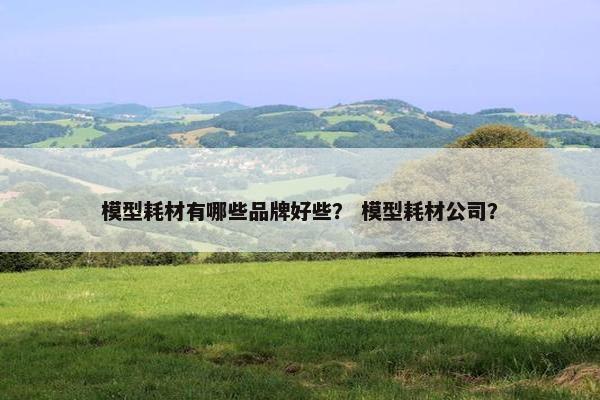 模型耗材有哪些品牌好些？ 模型耗材公司？