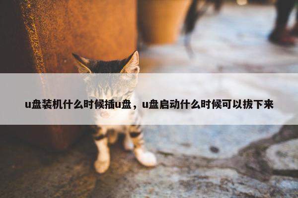 u盘装机什么时候插u盘，u盘启动什么时候可以拔下来