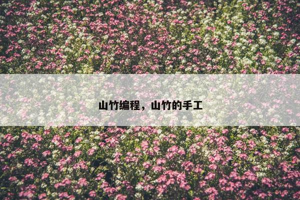 山竹编程，山竹的手工