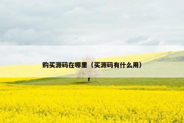 购买源码在哪里（买源码有什么用）