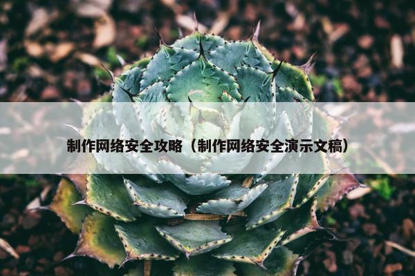 制作网络安全攻略（制作网络安全演示文稿）