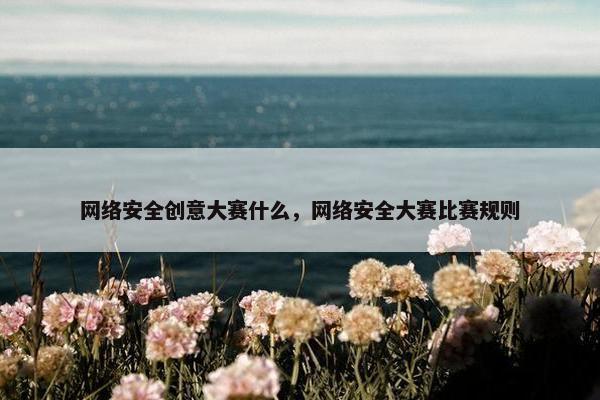 网络安全创意大赛什么，网络安全大赛比赛规则