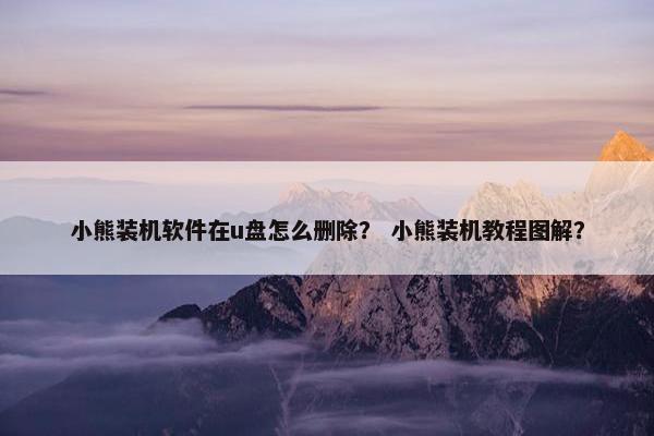 小熊装机软件在u盘怎么删除？ 小熊装机教程图解？