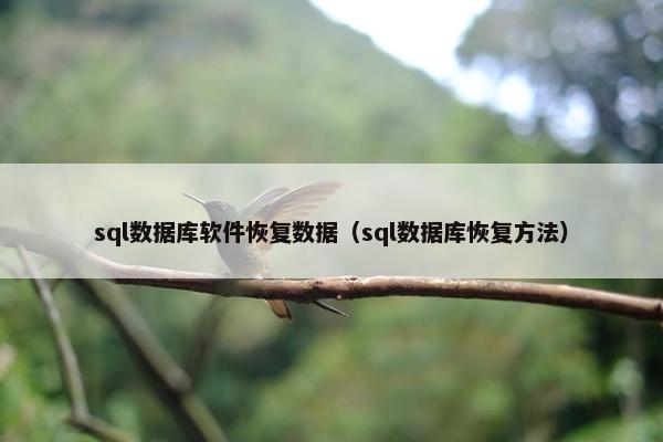sql数据库软件恢复数据（sql数据库恢复方法）