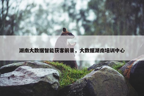 湖南大数据智能获客前景，大数据湖南培训中心