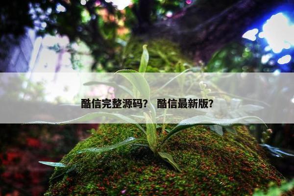 酷信完整源码？ 酷信最新版？