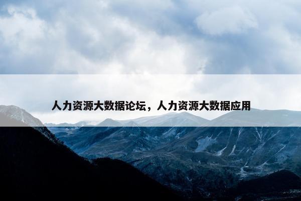 人力资源大数据论坛，人力资源大数据应用