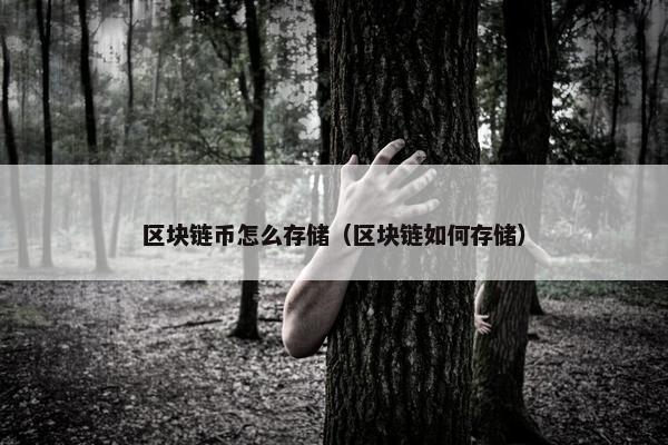 区块链币怎么存储（区块链如何存储）