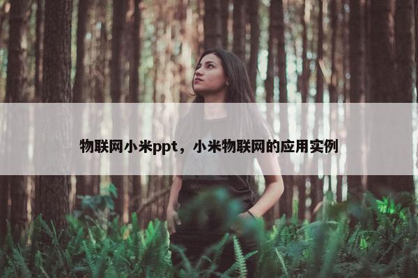 物联网小米ppt，小米物联网的应用实例