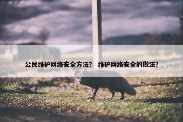 公民维护网络安全方法？ 维护网络安全的做法？