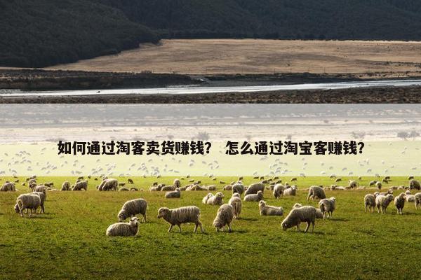 如何通过淘客卖货赚钱？ 怎么通过淘宝客赚钱？