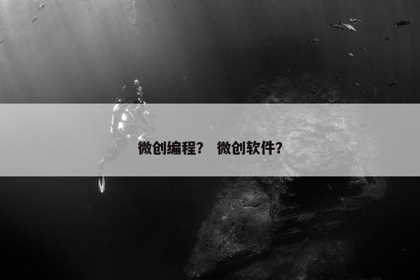微创编程？ 微创软件？