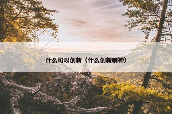 什么可以创新（什么创新精神）