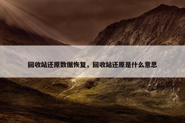 回收站还原数据恢复，回收站还原是什么意思