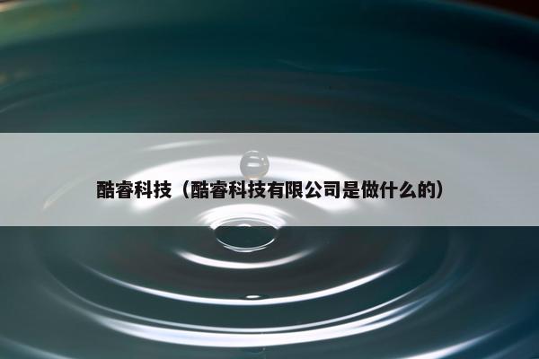 酷睿科技（酷睿科技有限公司是做什么的）