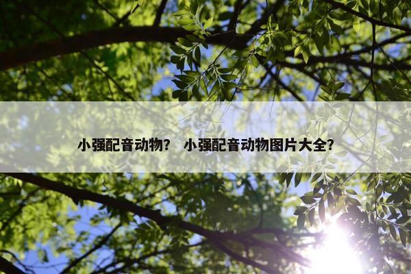 小强配音动物？ 小强配音动物图片大全？