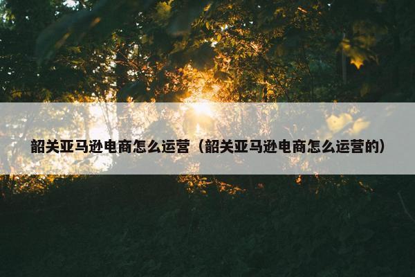 韶关亚马逊电商怎么运营（韶关亚马逊电商怎么运营的）