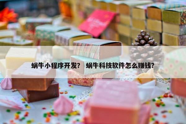 蜗牛小程序开发？ 蜗牛科技软件怎么赚钱？