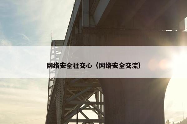 网络安全社交心（网络安全交流）